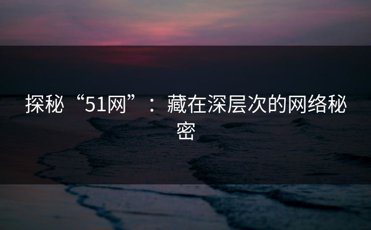 探秘“51网”:藏在深层次的网络秘密 探秘“51网”:藏在深层次的网络秘密